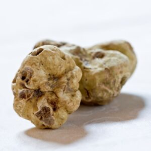 Fresh Alba White Italian truffles uk