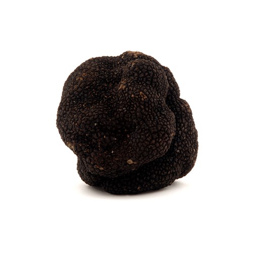 Fresh Black Winter Truffles from Australia