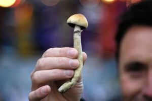 magic mushroom duration effect
