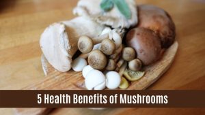 mushroom spores psilocybin mushrooms kit